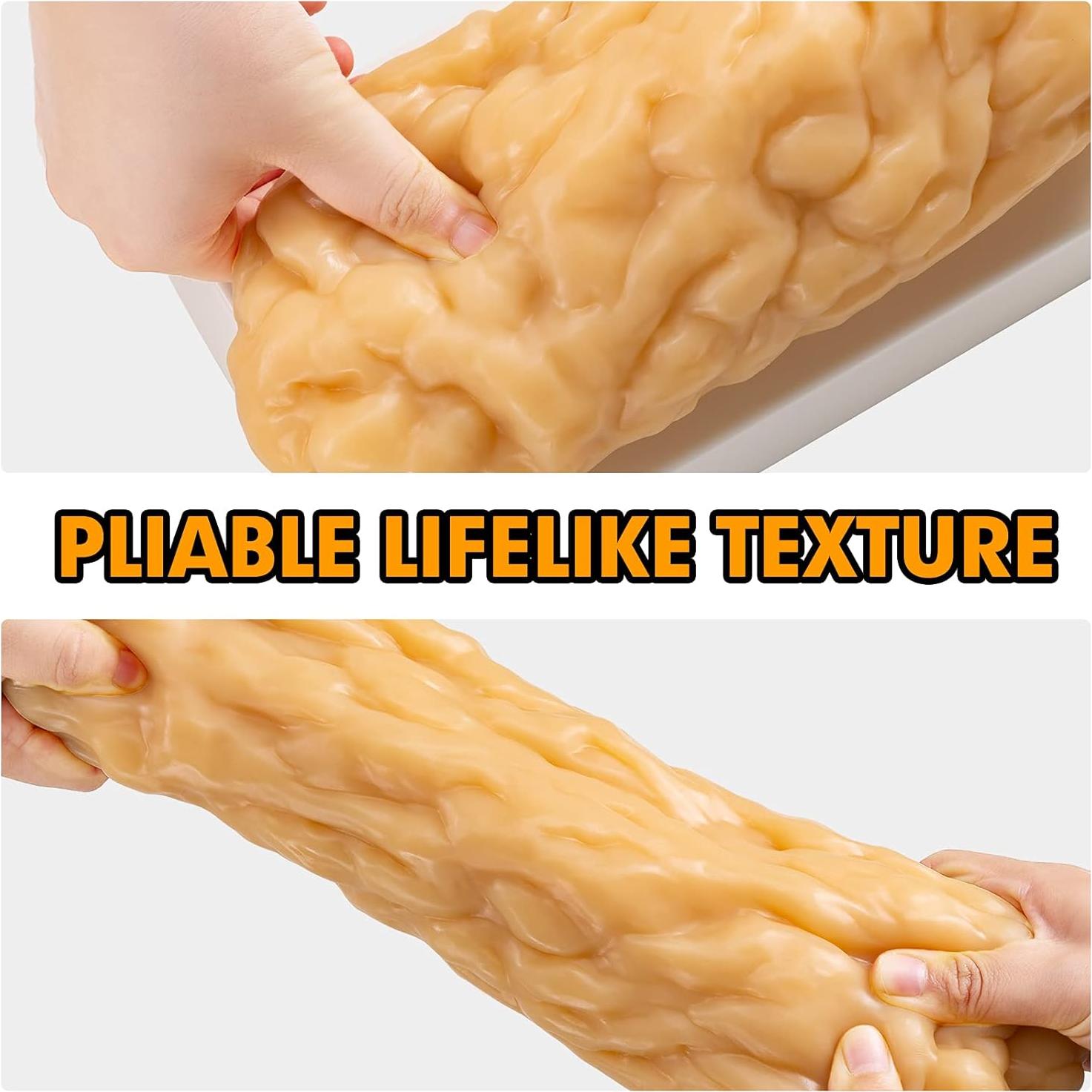 Modelo de Grasa Corporal Humana Ultrassist 1.13 kg para Estudiantes