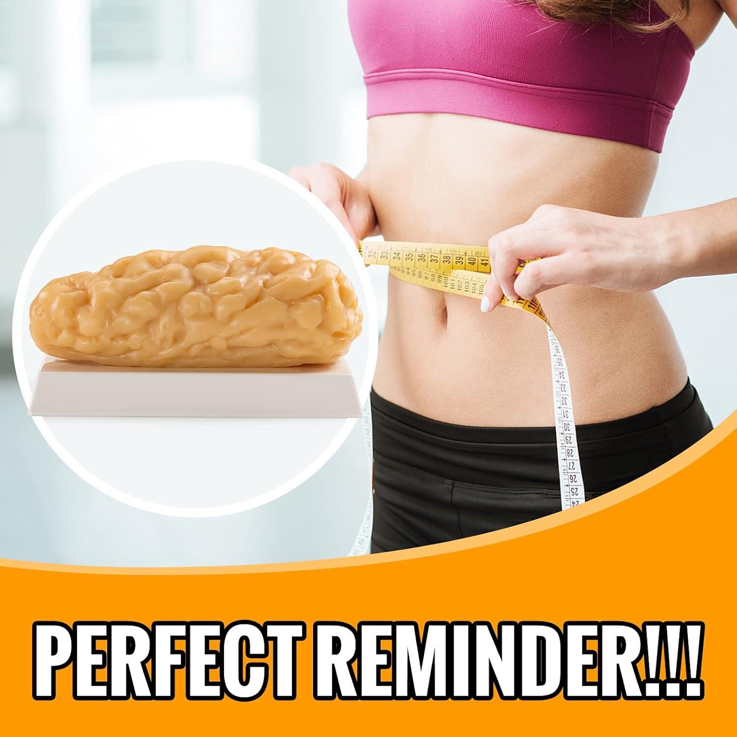 Modelo de Grasa Corporal Humana Ultrassist 1.13 kg para Estudiantes