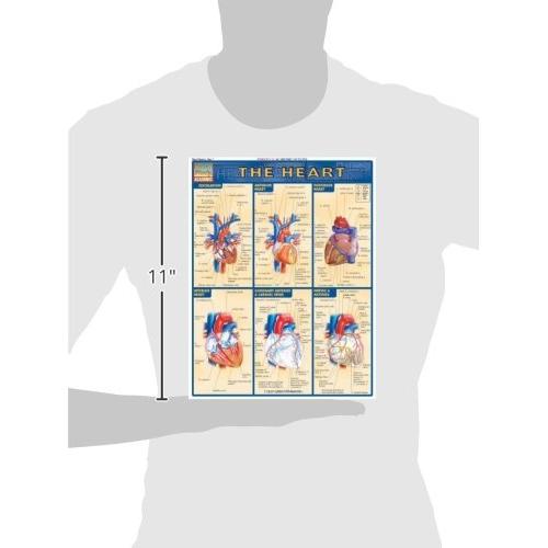 Heart QuickStudy Laminated Reference Guide (QuickStudy Academic)