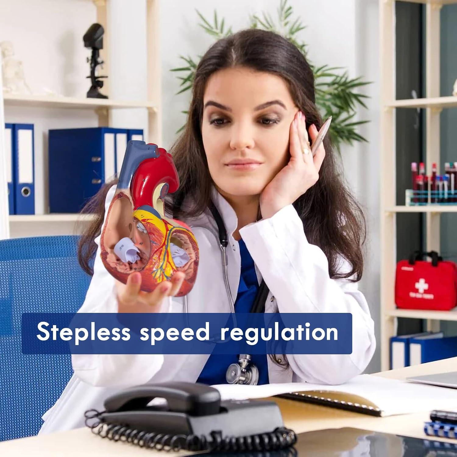 Modelo Anatómico del Corazón Ampliado 2X LVCHEN - 20x14x17cm