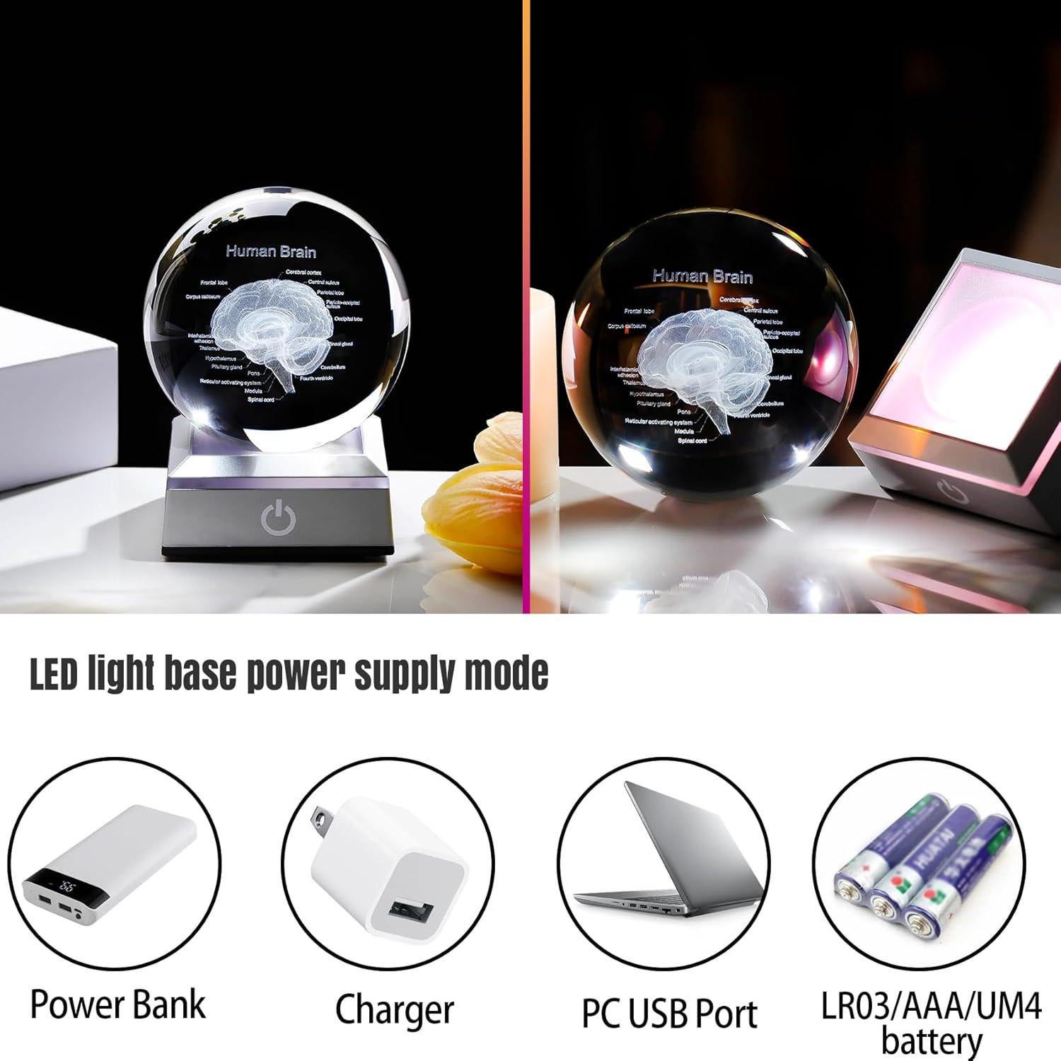 Bola de Cristal 3D Cerebro Humano 8 cm Ornalrist con Base LED