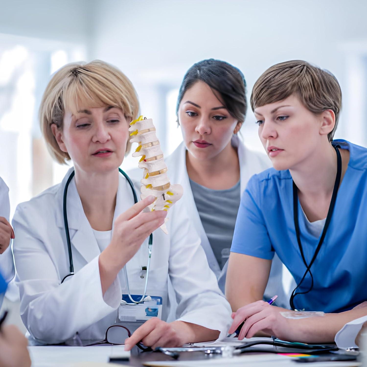 Modelo de Columna Lumbar Ruiishunyy a Tamaño Real con 5 Vértebras