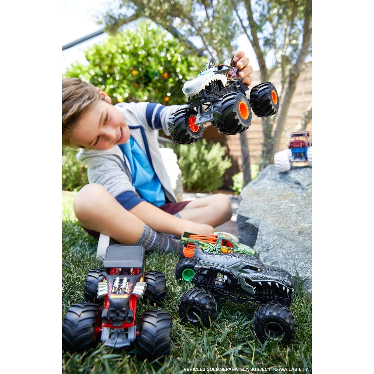 Camión Monster Truck Hot Wheels 1:24 Metal Fundido