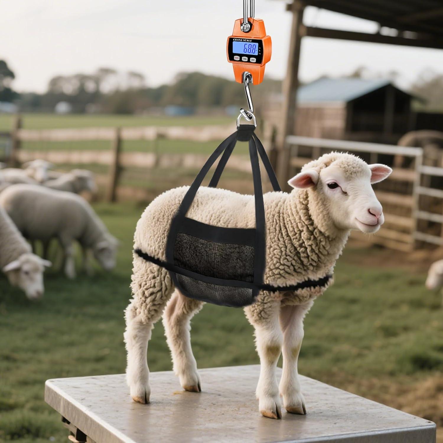 Balanza Digital Colgante ROMECH 300Kg Aluminio Naranja