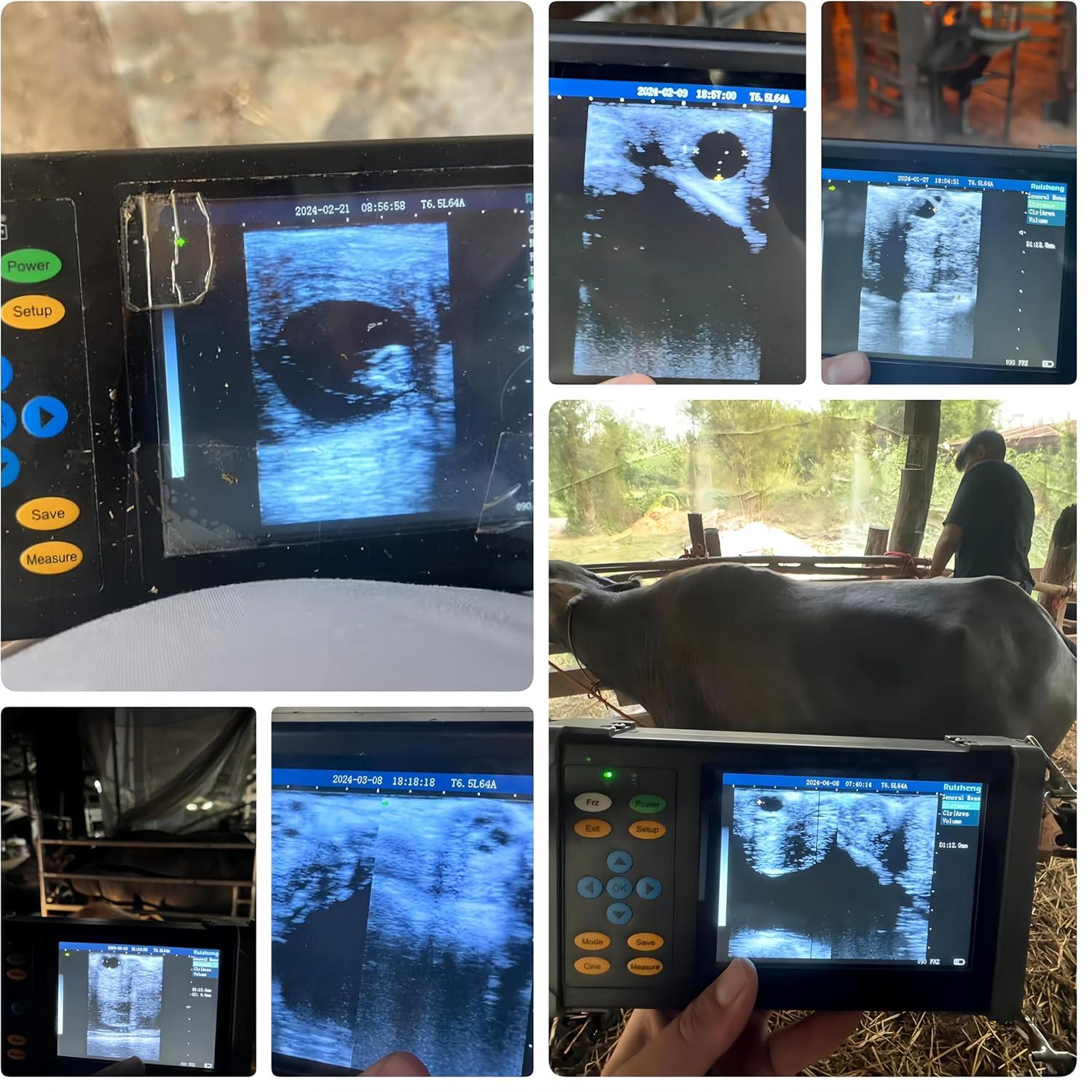 Ultrasonido Veterinario Portátil SUNBESTA A20 6.5 MHz