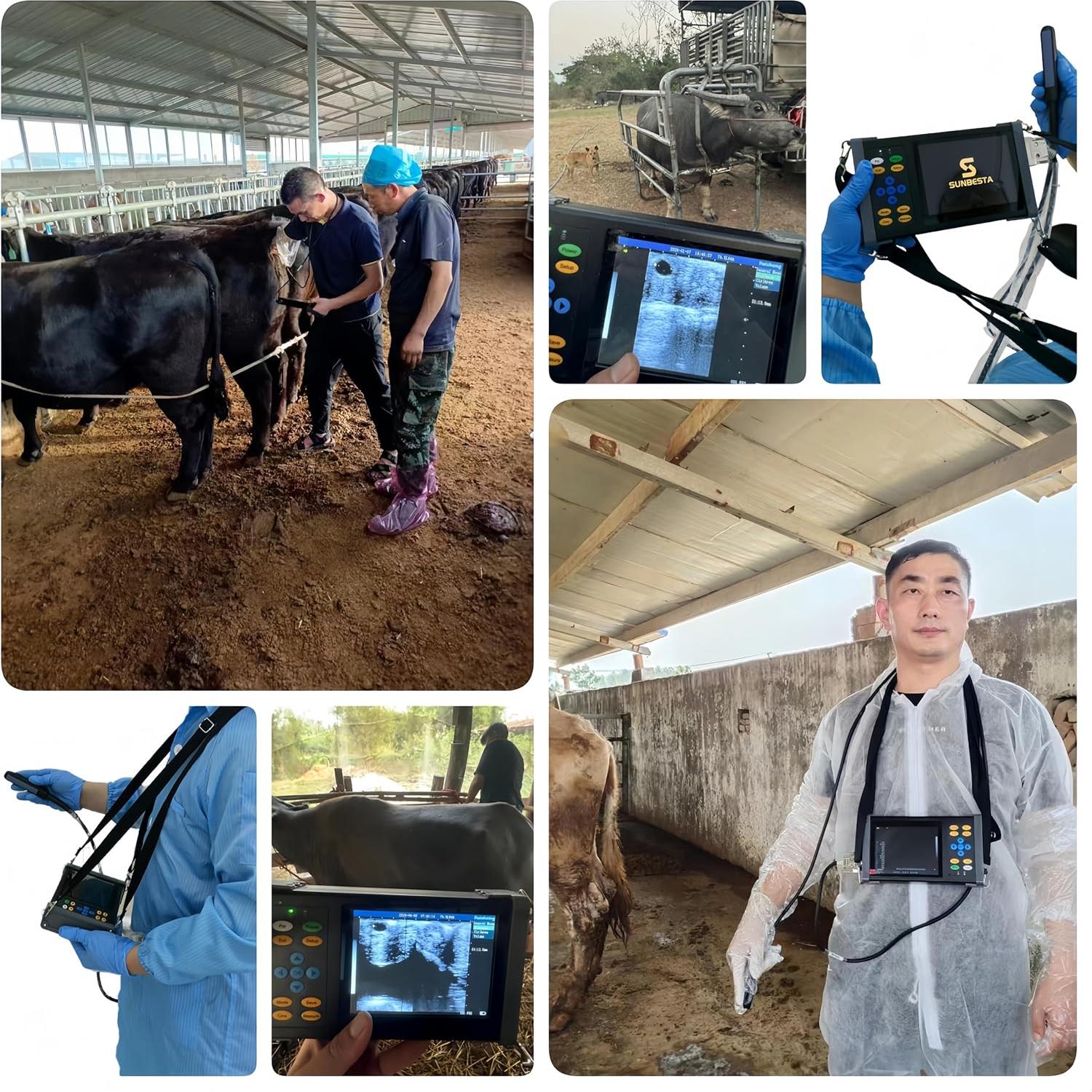 Ultrasonido Veterinario Portátil SUNBESTA A20 6.5 MHz