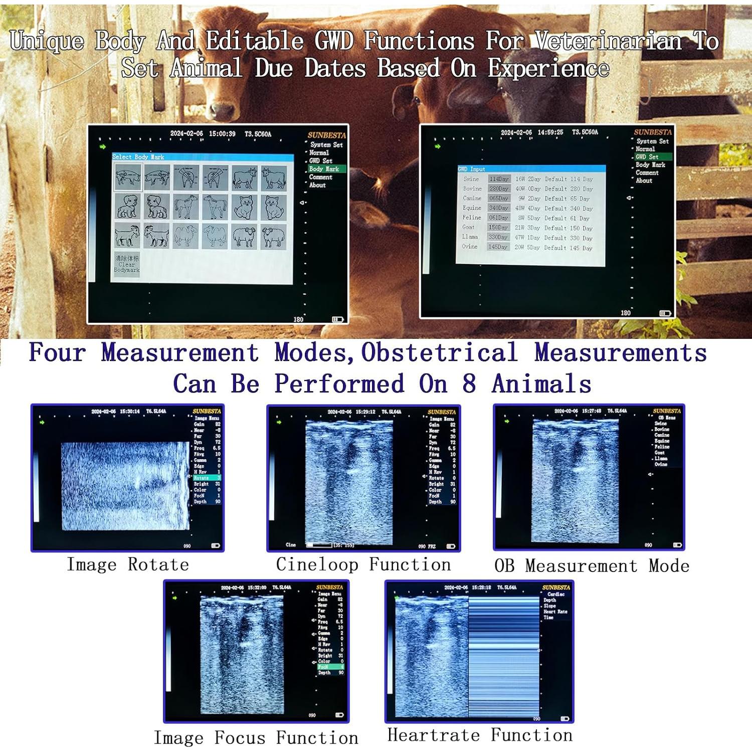 Ultrasonido Veterinario Portátil SUNBESTA A20 6.5 MHz