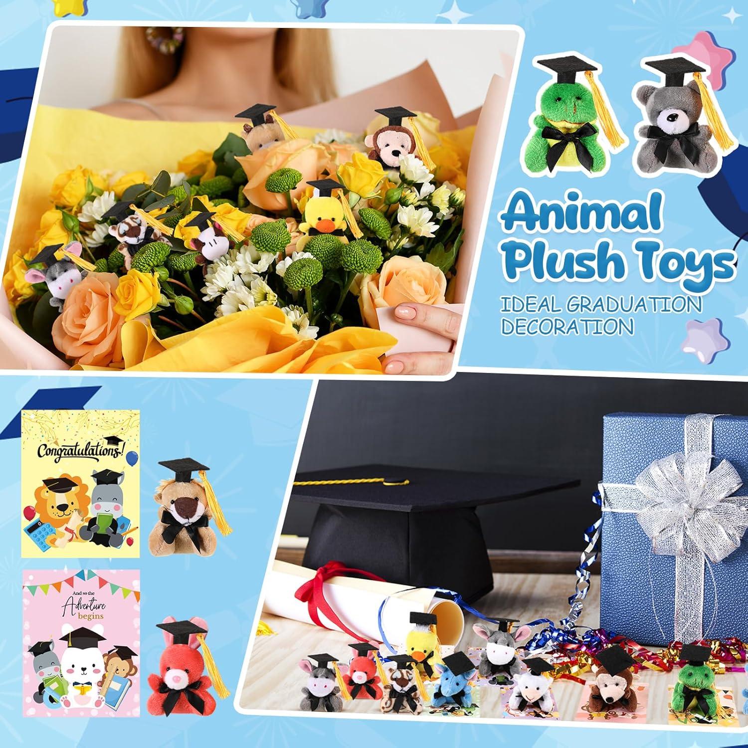 30 Mini Animales de Peluche Graduación + Tarjetas Personalizadas