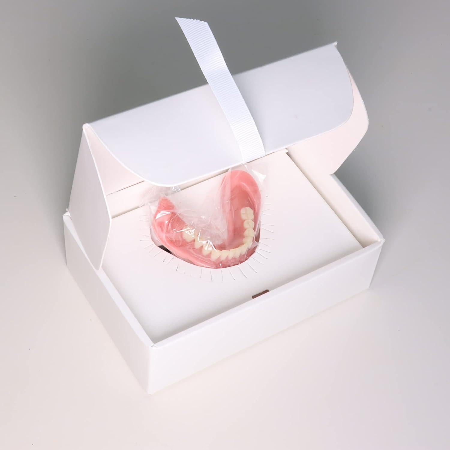 Dentadura Funcional Easy Denture Pequeña/Mediada - Ajuste Rápido
