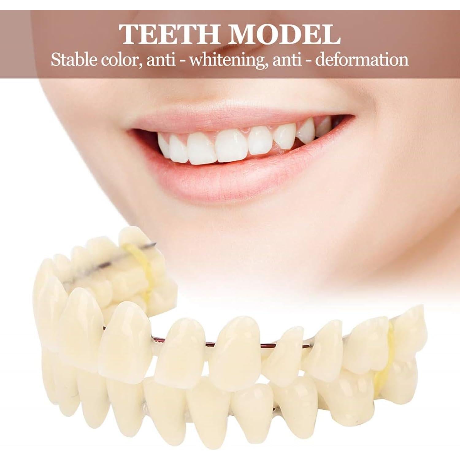 Dientes Postizos de Resina ZJchao 280pcs Boca Completa