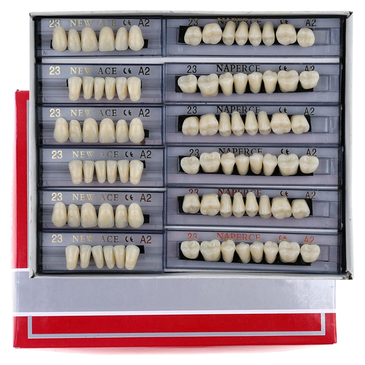 168 Piezas Dientes Falsos Dentales Resina Acrílica A2