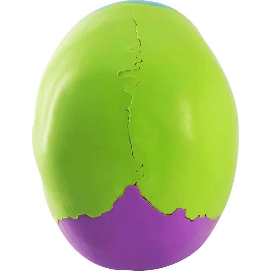 Modelo de Cráneo Humano Didáctico 22 Piezas PVC 19.5x15x13 cm