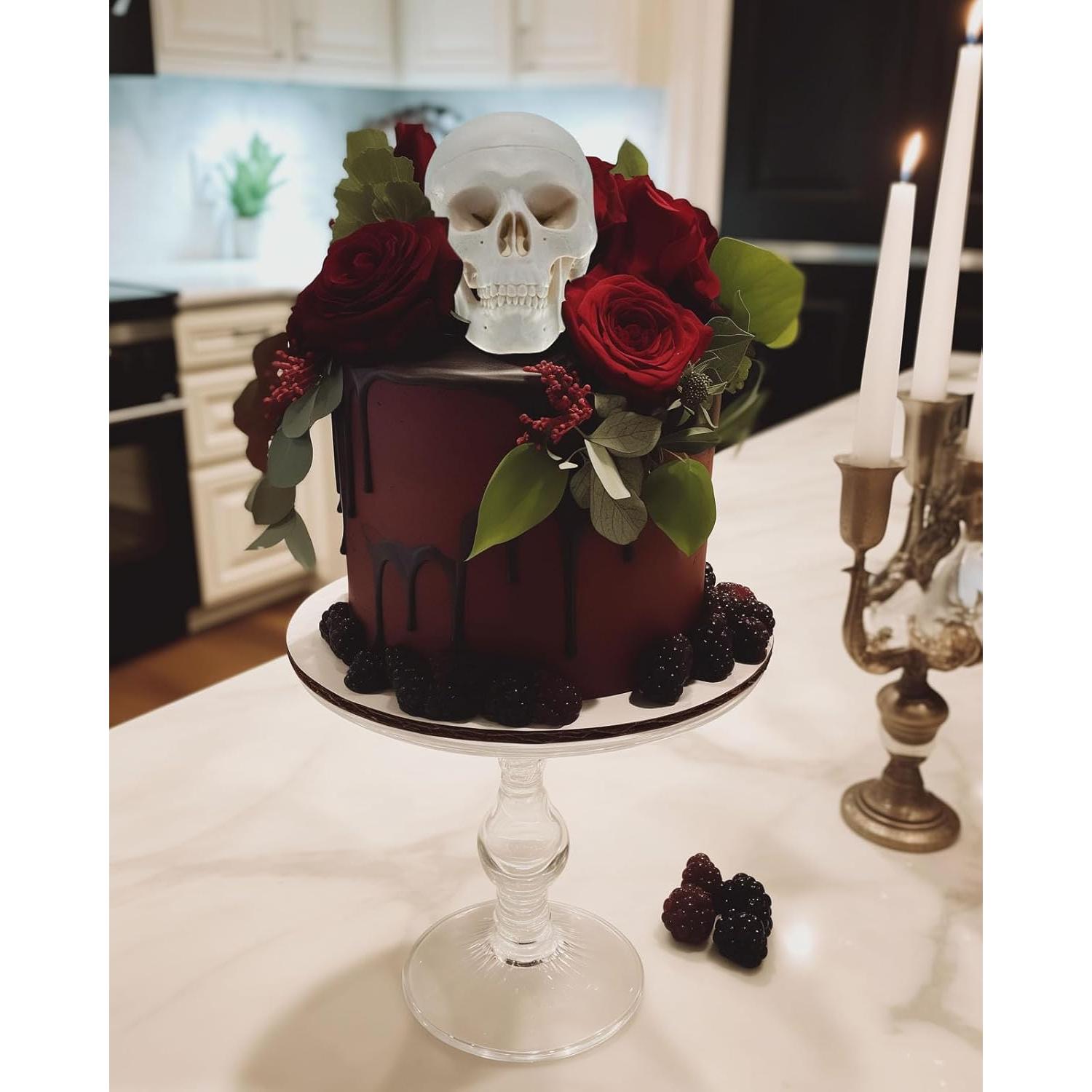 Modelo de Cráneo Mini QREBYQ para Estudio - Anatomía Humana