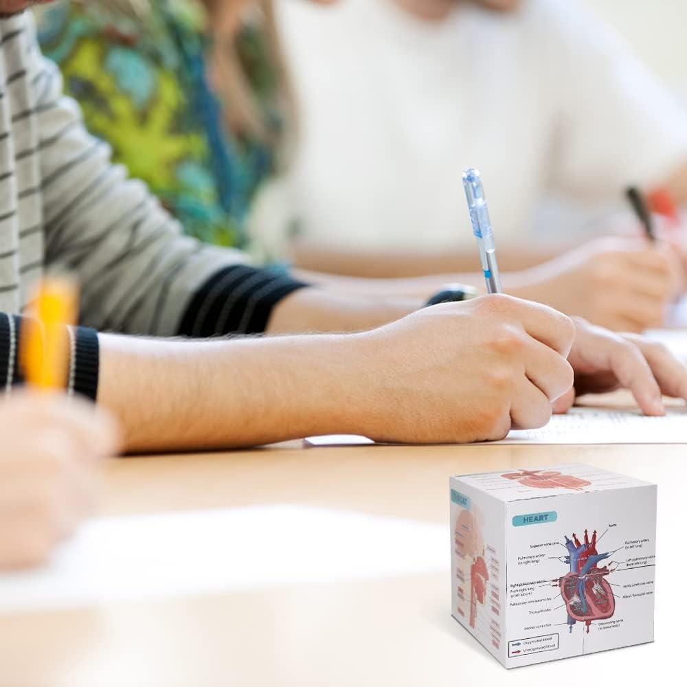 Cubo de Anatomía Humana Aliwovo 9 Partes 9.98cm Estudio