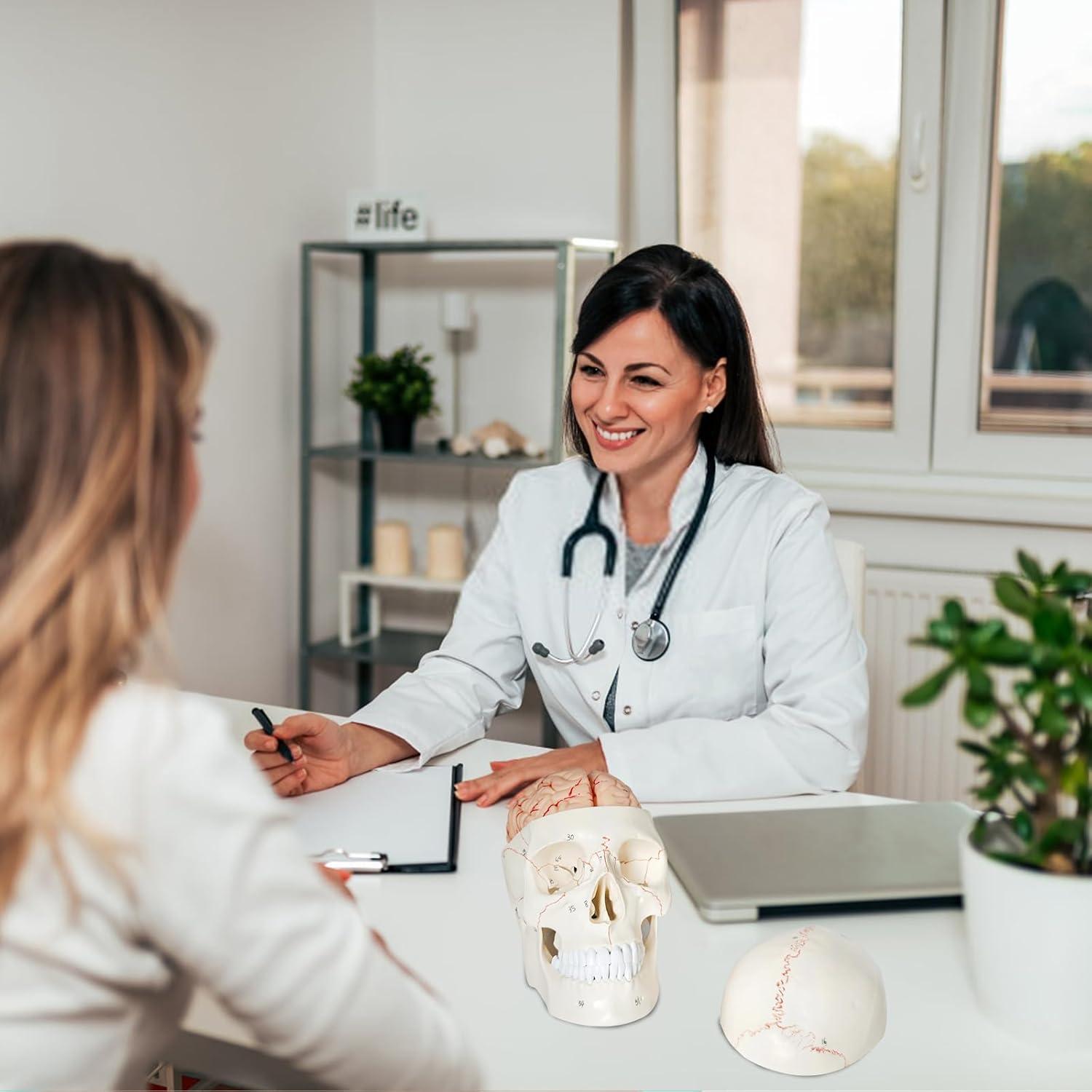 Modelo Anatómico de Cráneo y Cerebro SFXYJ 11 Piezas 2024