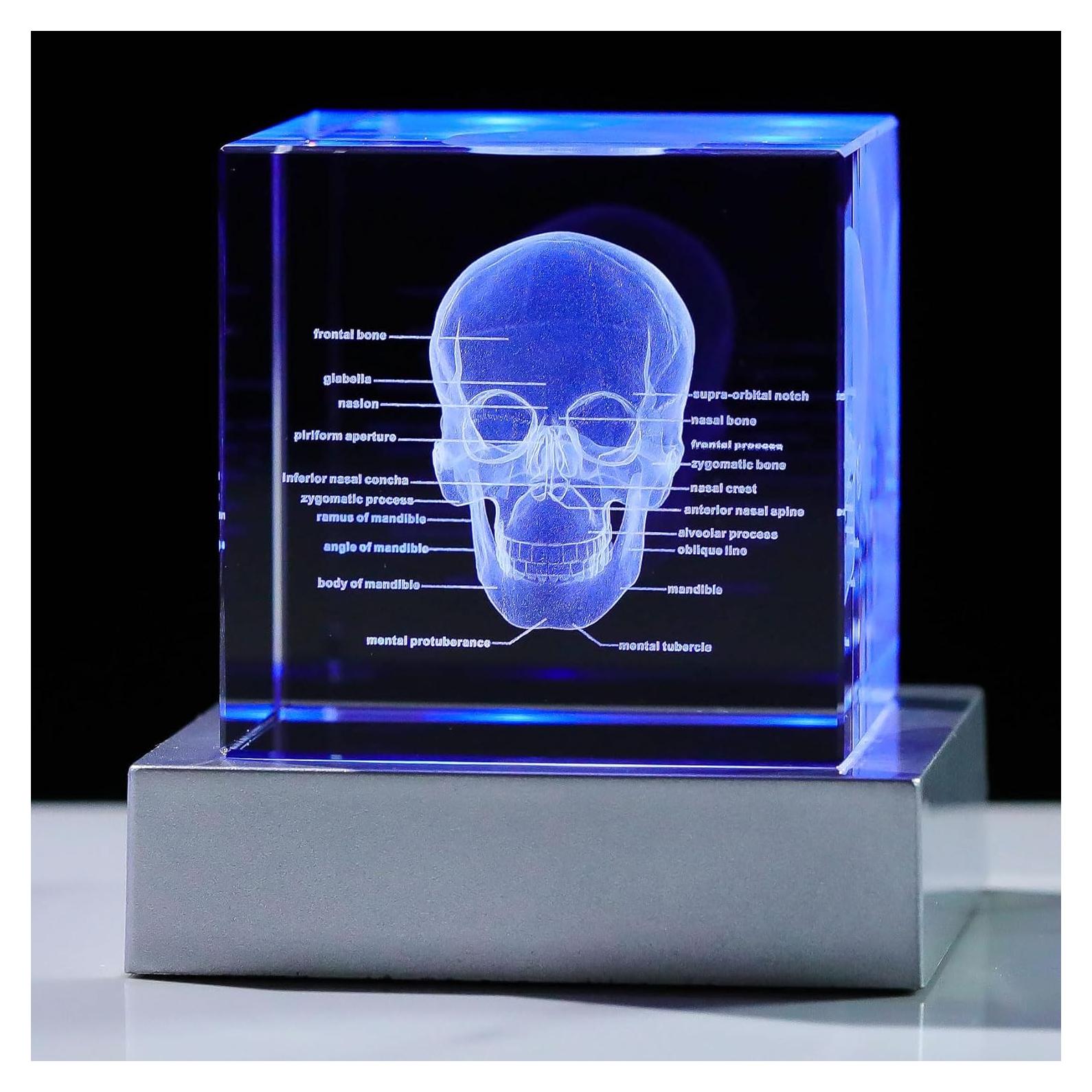 Lámpara Decorativa Calavera 3D Movdyka Cristal K9 LED