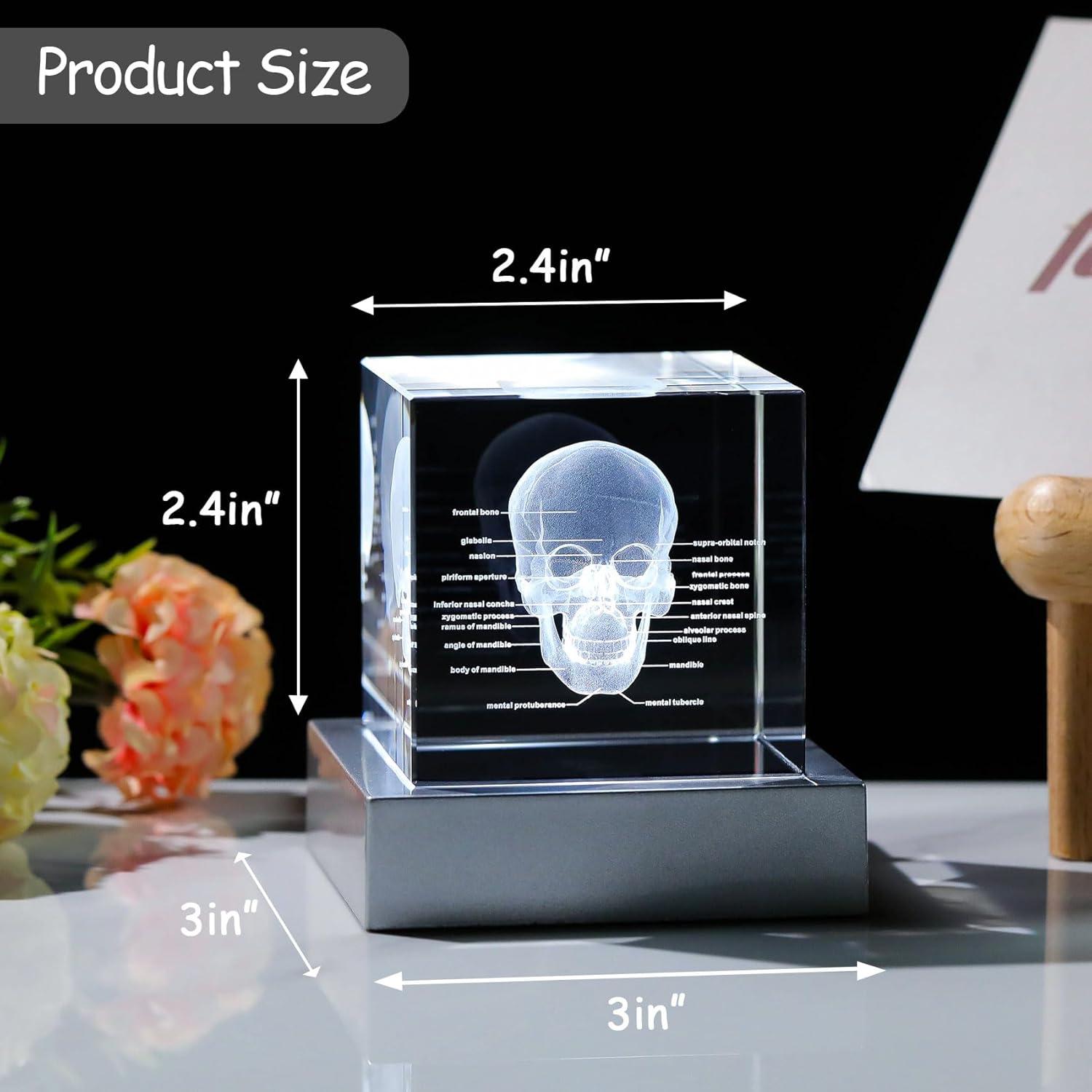 Lámpara Decorativa Calavera 3D Movdyka Cristal K9 LED