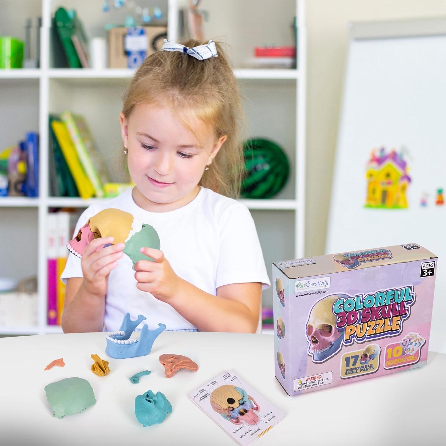 Rompecabezas 3D Cráneo ArtCreativity 17 Piezas con Tarjetas