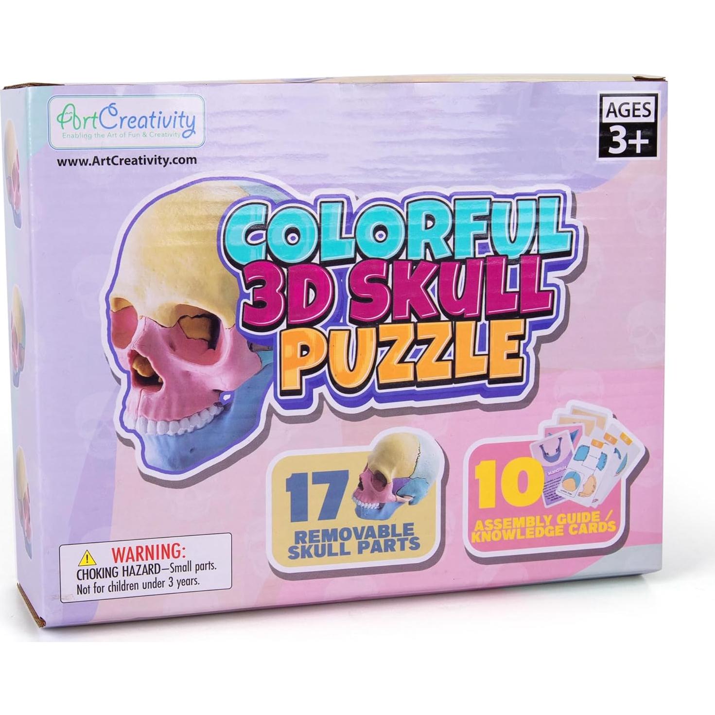 Rompecabezas 3D Cráneo ArtCreativity 17 Piezas con Tarjetas