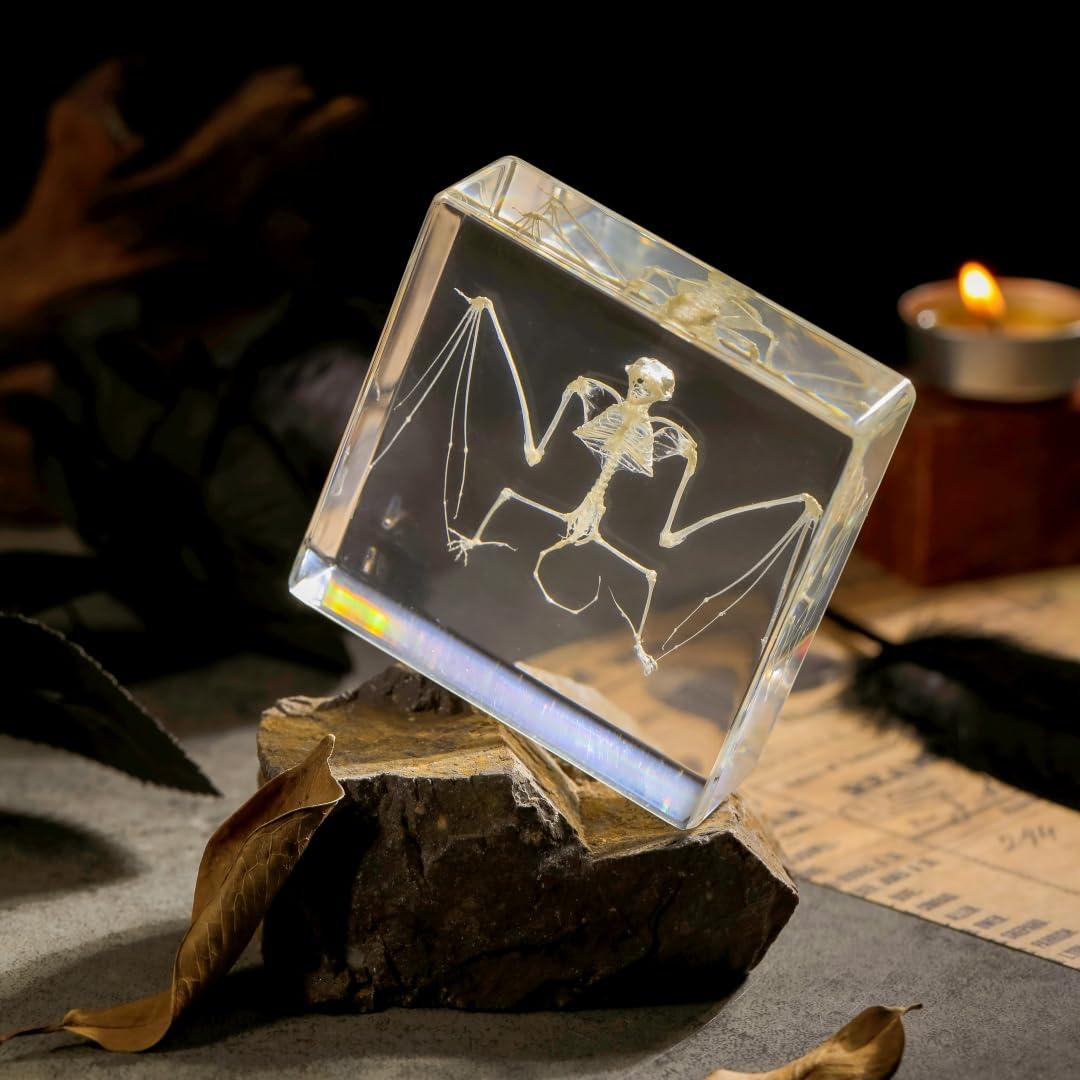 Esqueleto de Murciélago Real en Resina TOHTOFN - 11.18x9.66cm