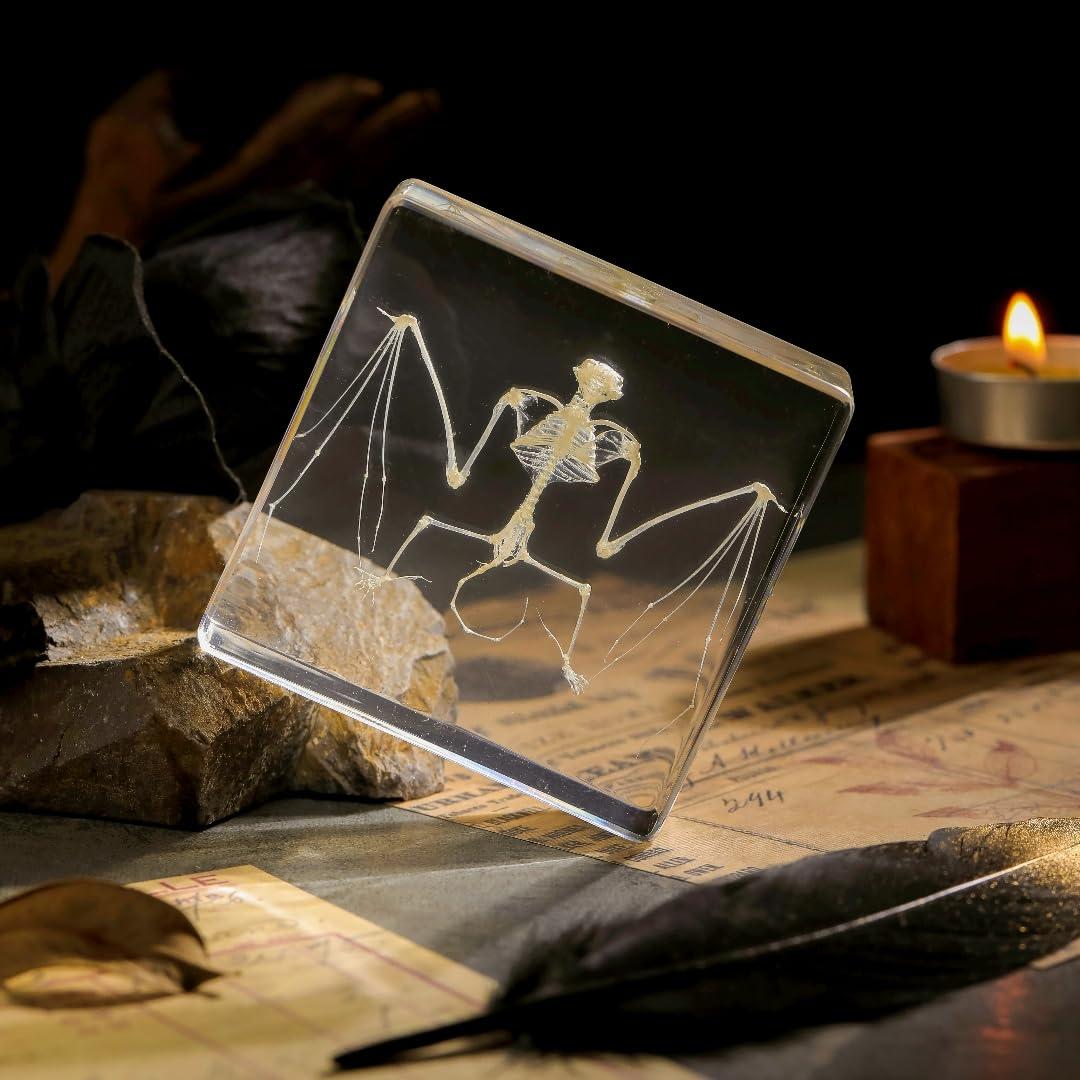 Esqueleto de Murciélago Real en Resina TOHTOFN - 11.18x9.66cm