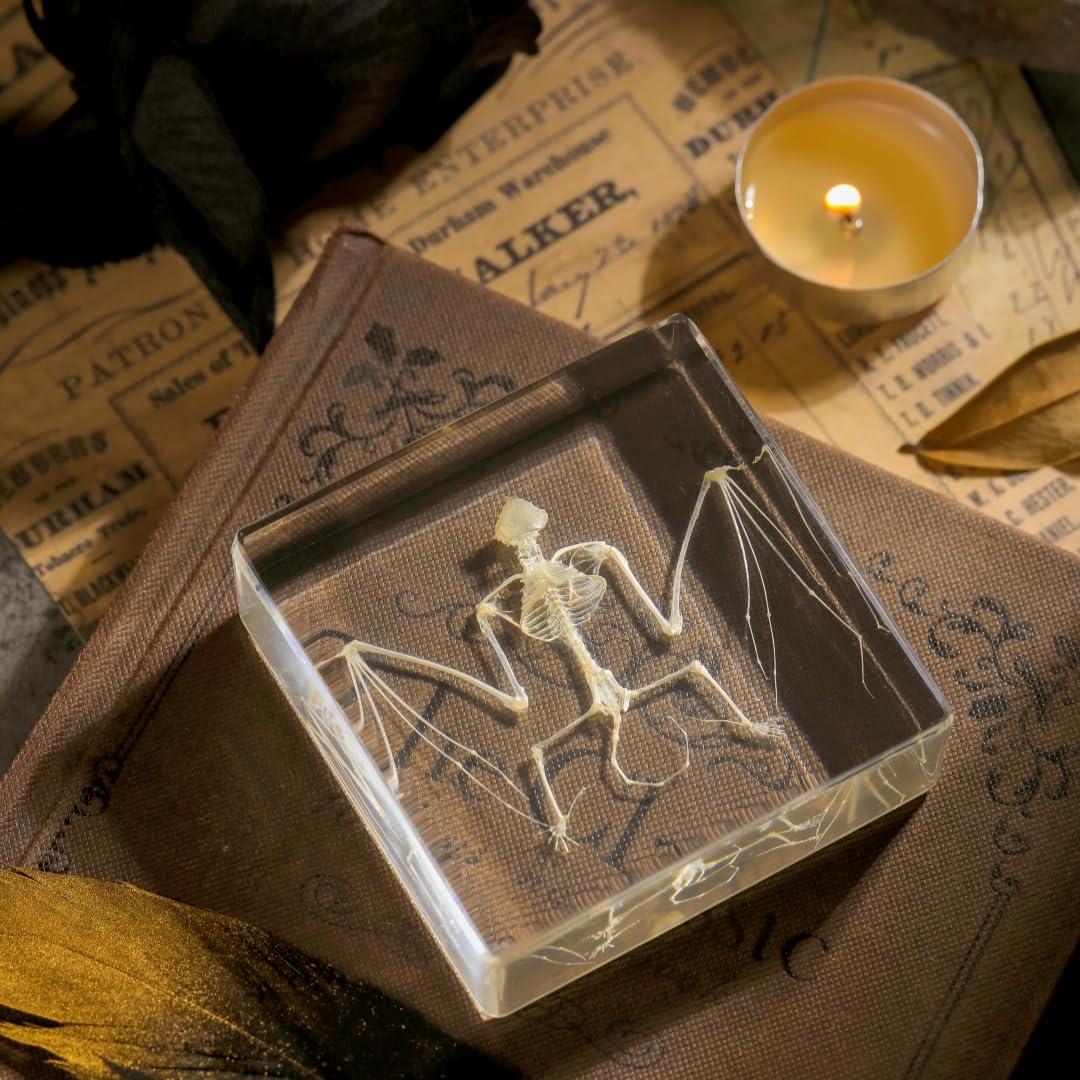 Esqueleto de Murciélago Real en Resina TOHTOFN - 11.18x9.66cm