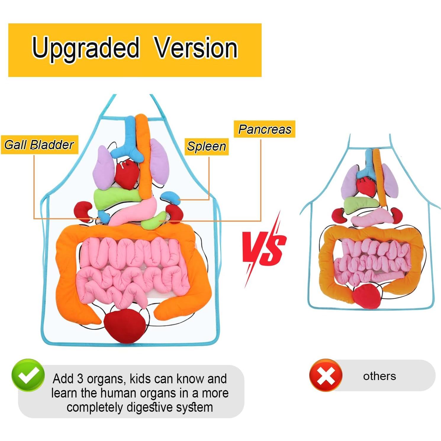 Delantal 3D de Órganos Vocheer para Niños - Juguete Educativo