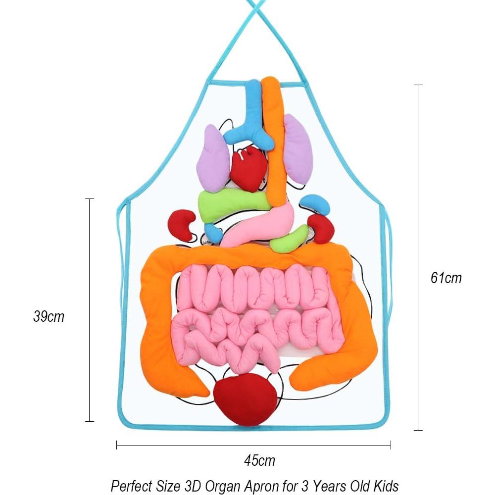 Delantal 3D de Órganos Vocheer para Niños - Juguete Educativo
