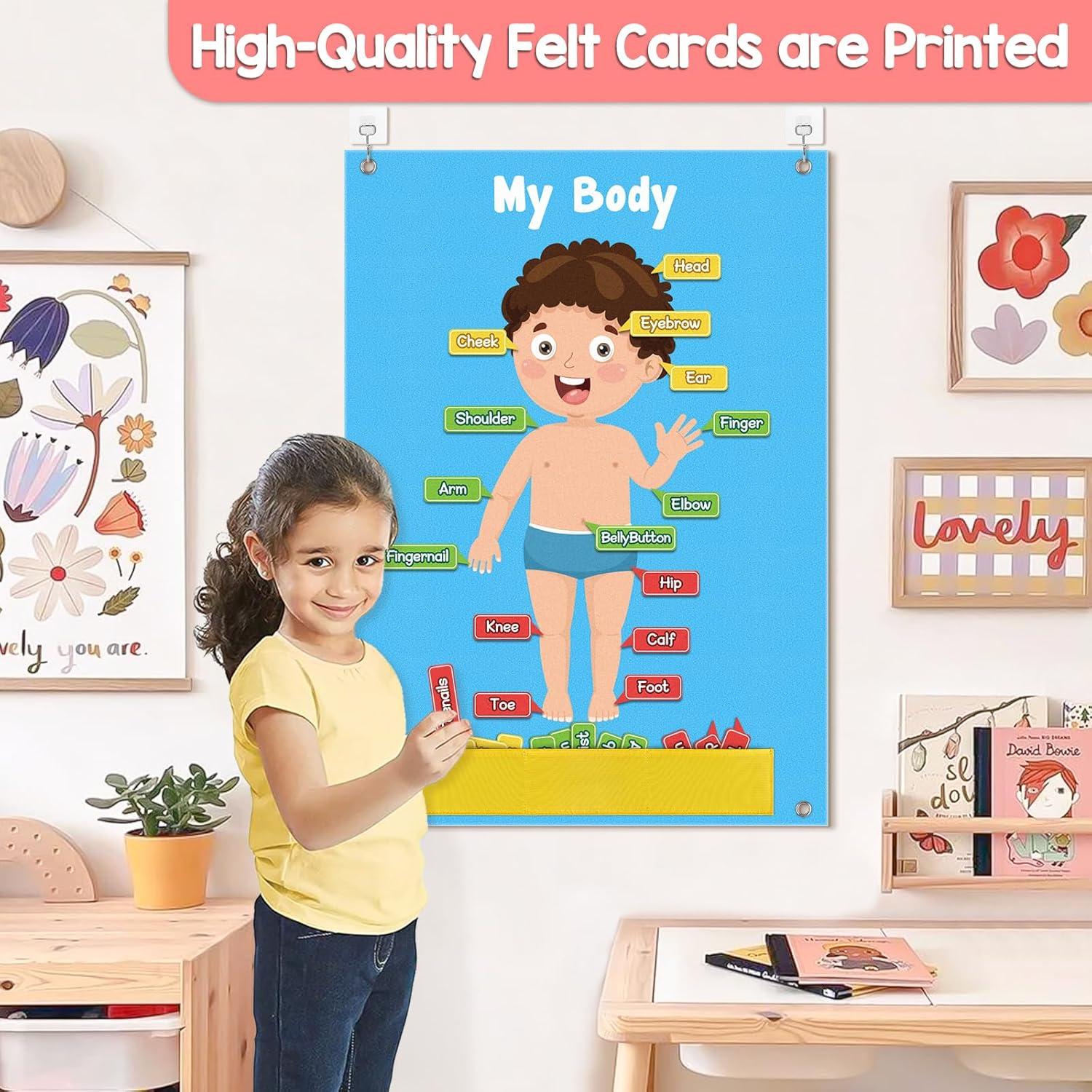 Tablero de Fieltro del Cuerpo Humano AKAYOK 36 Piezas Azul