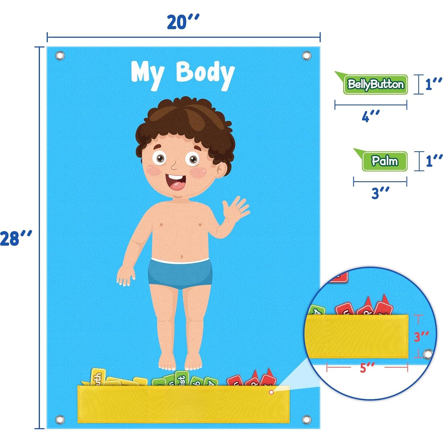 Tablero de Fieltro del Cuerpo Humano AKAYOK 36 Piezas Azul