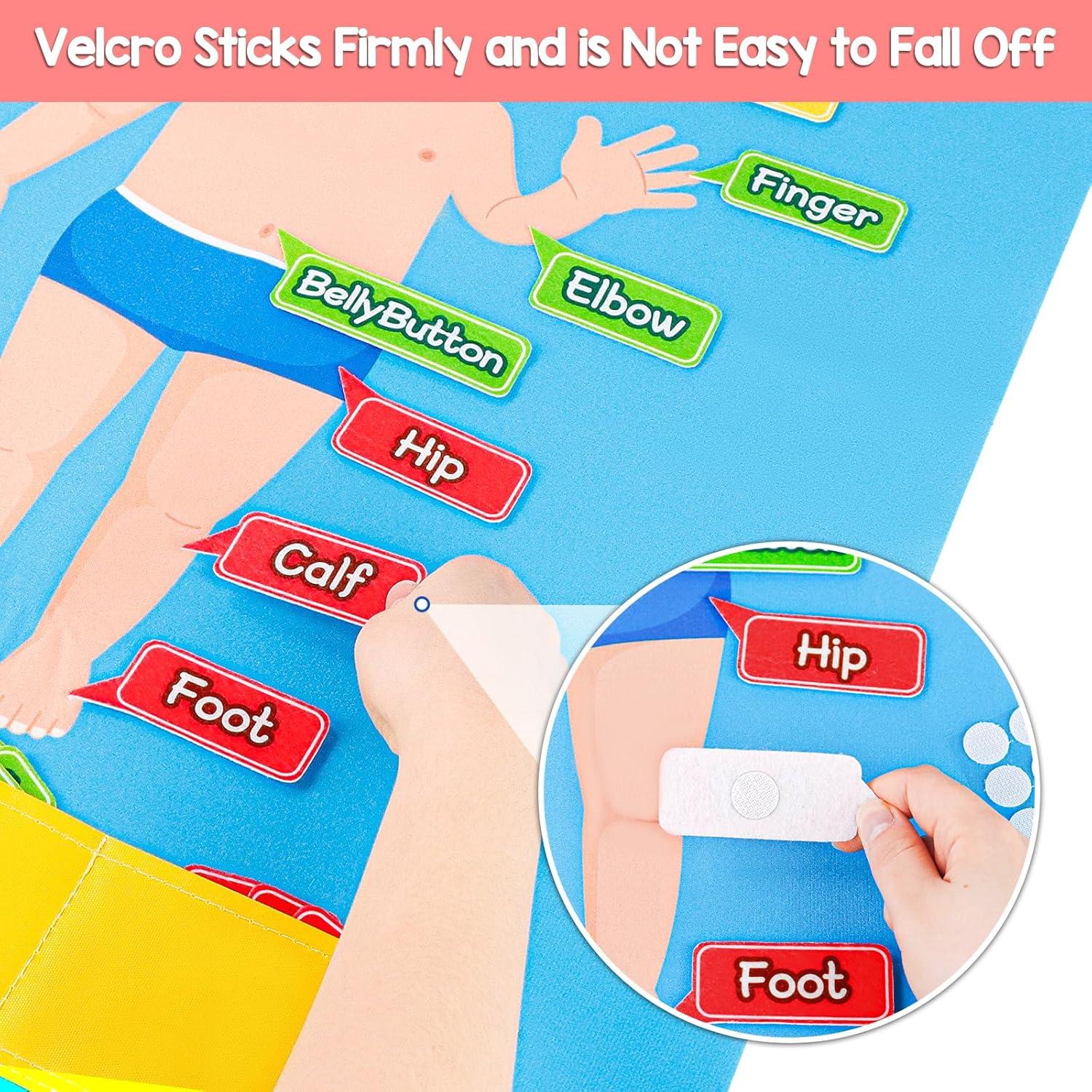 Tablero de Fieltro del Cuerpo Humano AKAYOK 36 Piezas Azul