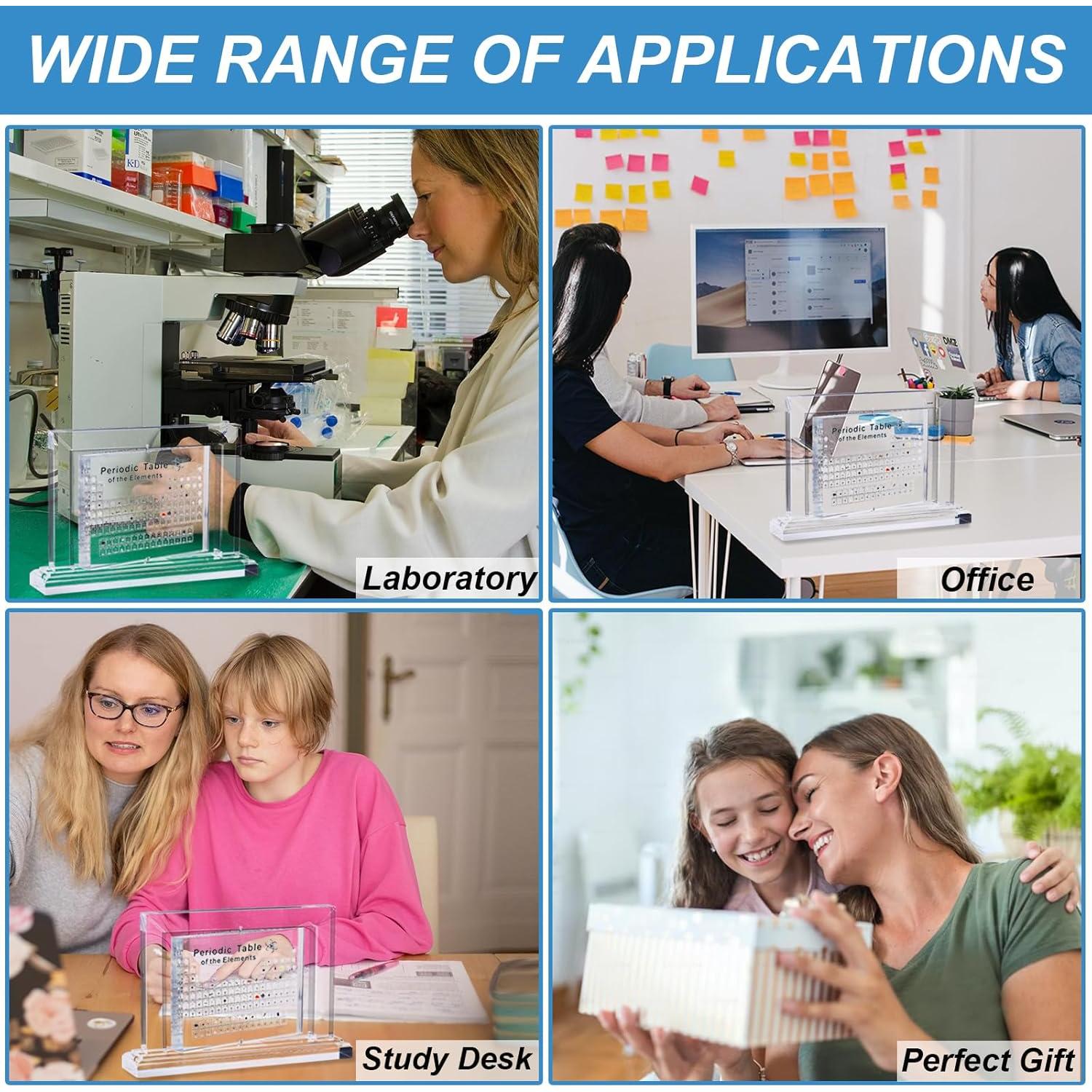 Modelo Anatómico del Cerebro Humano 2X SOEPOTIX Desmontable