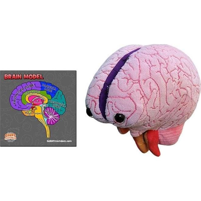 Modelo de Cerebro 3D GIANTmicrobes - Juguete Educativo 17.78 cm