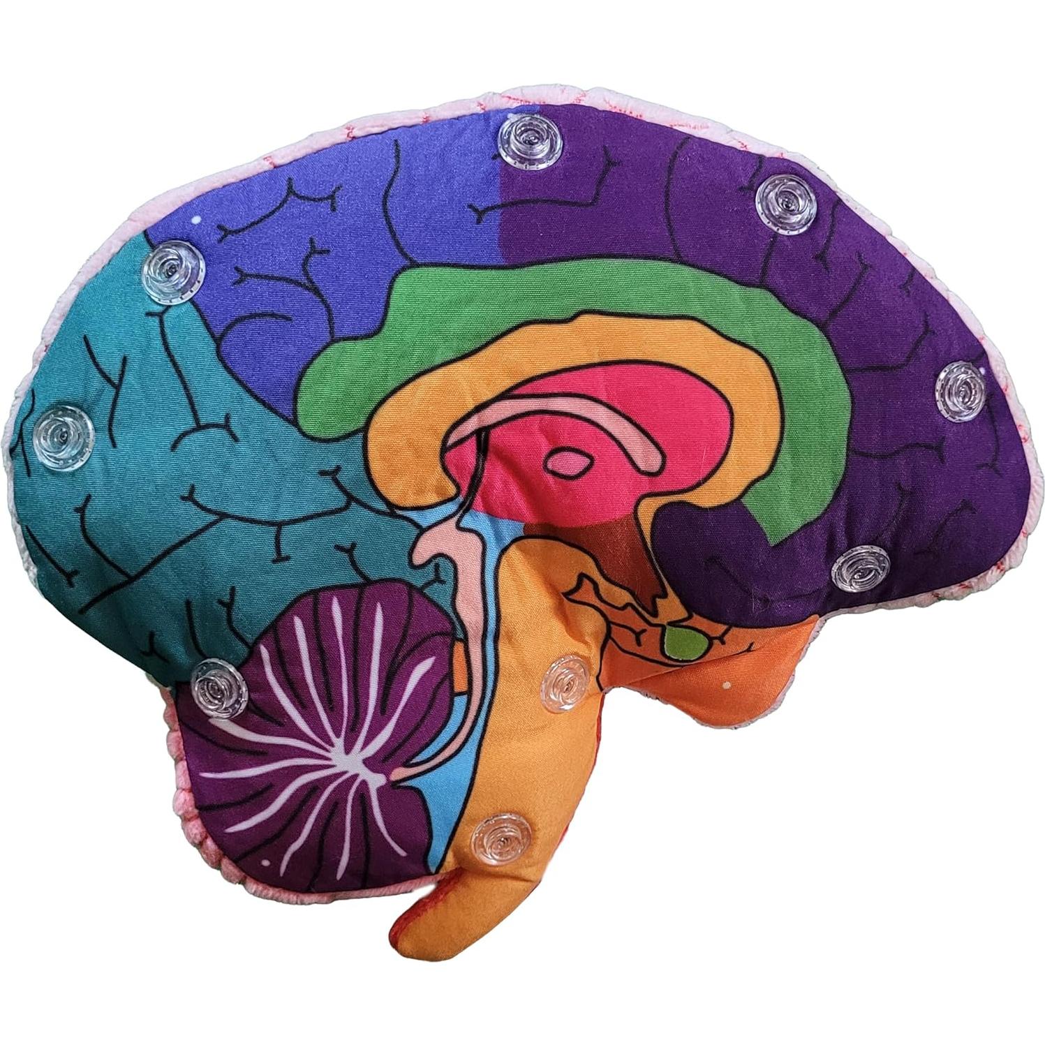Modelo de Cerebro 3D GIANTmicrobes - Juguete Educativo 17.78 cm
