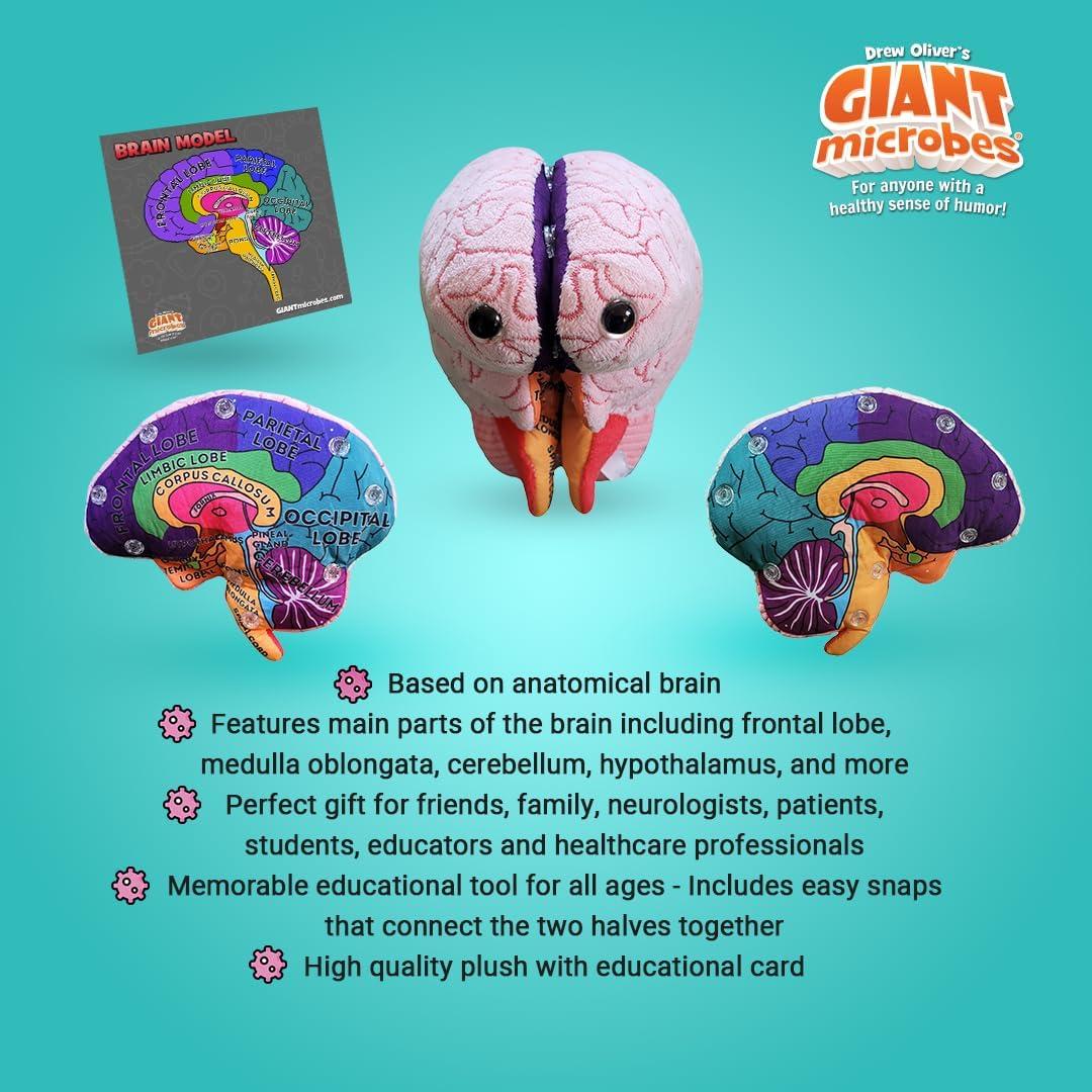Modelo de Cerebro 3D GIANTmicrobes - Juguete Educativo 17.78 cm