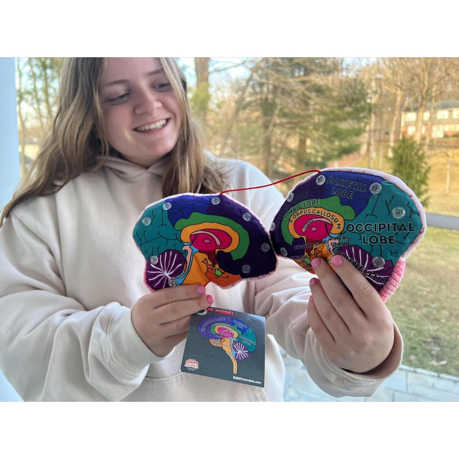 Modelo de Cerebro 3D GIANTmicrobes - Juguete Educativo 17.78 cm