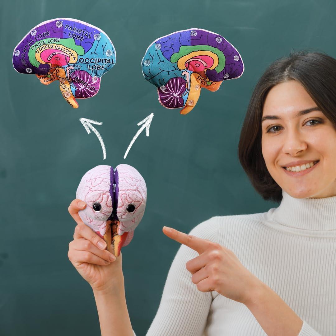 Modelo de Cerebro 3D GIANTmicrobes - Juguete Educativo 17.78 cm
