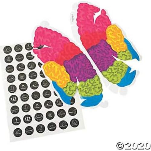 Sombreros de Cerebro Fun Express - Set de 12 Kits Didácticos