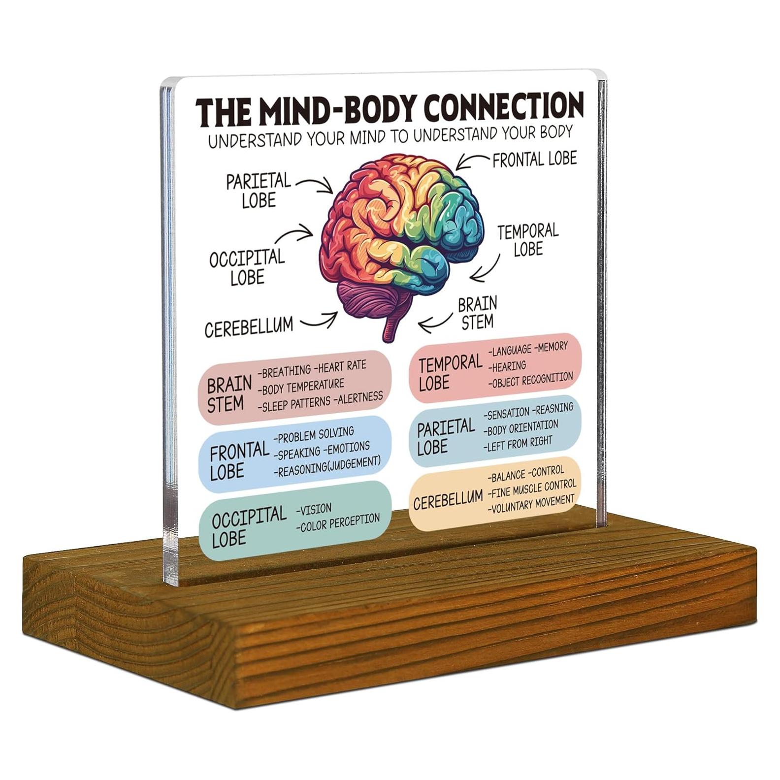 Cartel de Conexión Mente-Cuerpo FTONENI - Anatomía Cerebral 11.9x7.1cm