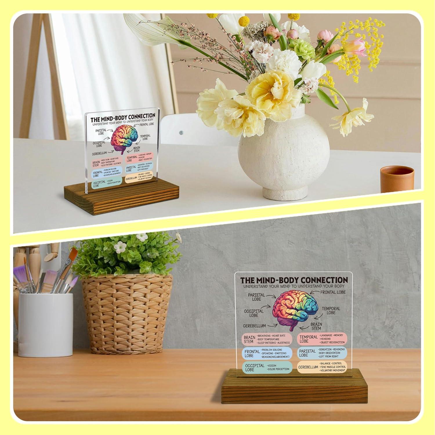 Cartel de Conexión Mente-Cuerpo FTONENI - Anatomía Cerebral 11.9x7.1cm