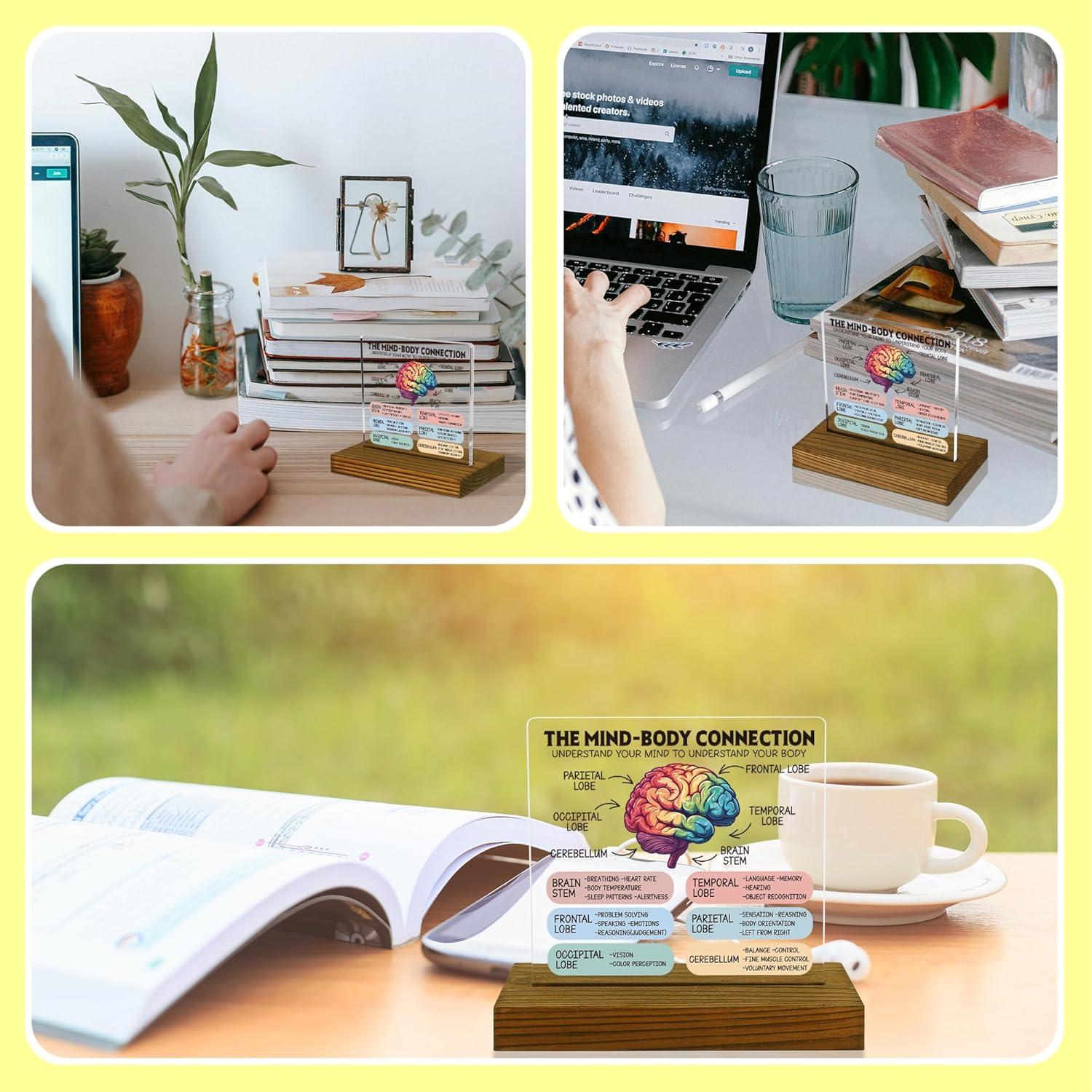 Cartel de Conexión Mente-Cuerpo FTONENI - Anatomía Cerebral 11.9x7.1cm