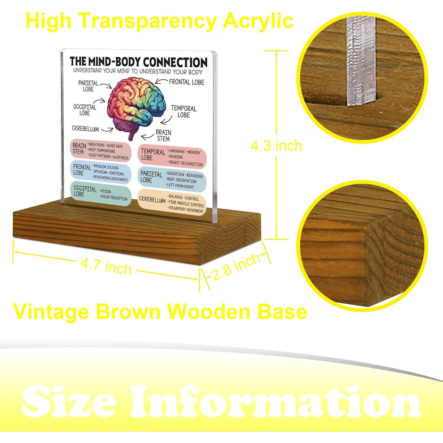 Cartel de Conexión Mente-Cuerpo FTONENI - Anatomía Cerebral 11.9x7.1cm