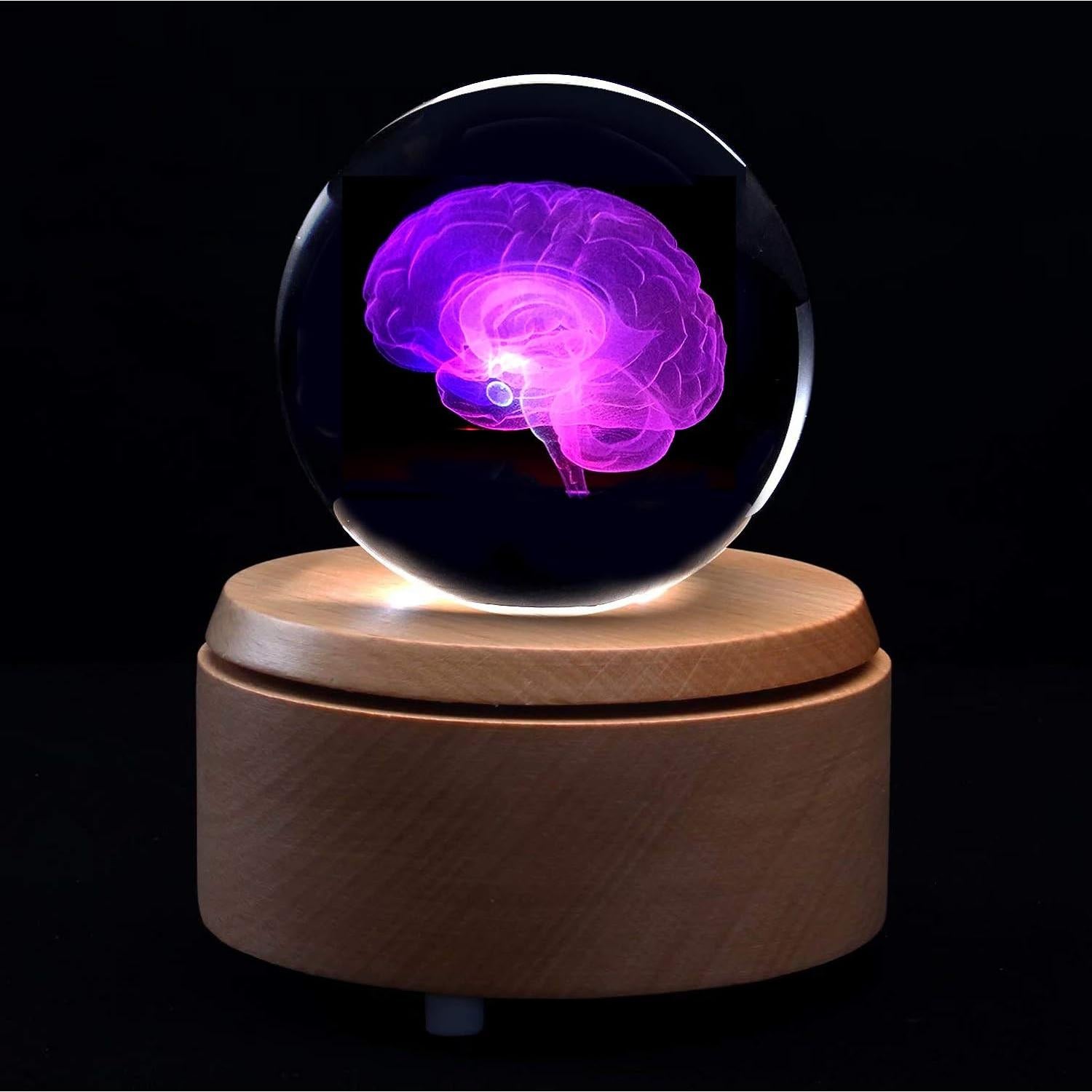 Bola de Cristal con Cerebro Humano 3D XINDAM 8.13 cm LED