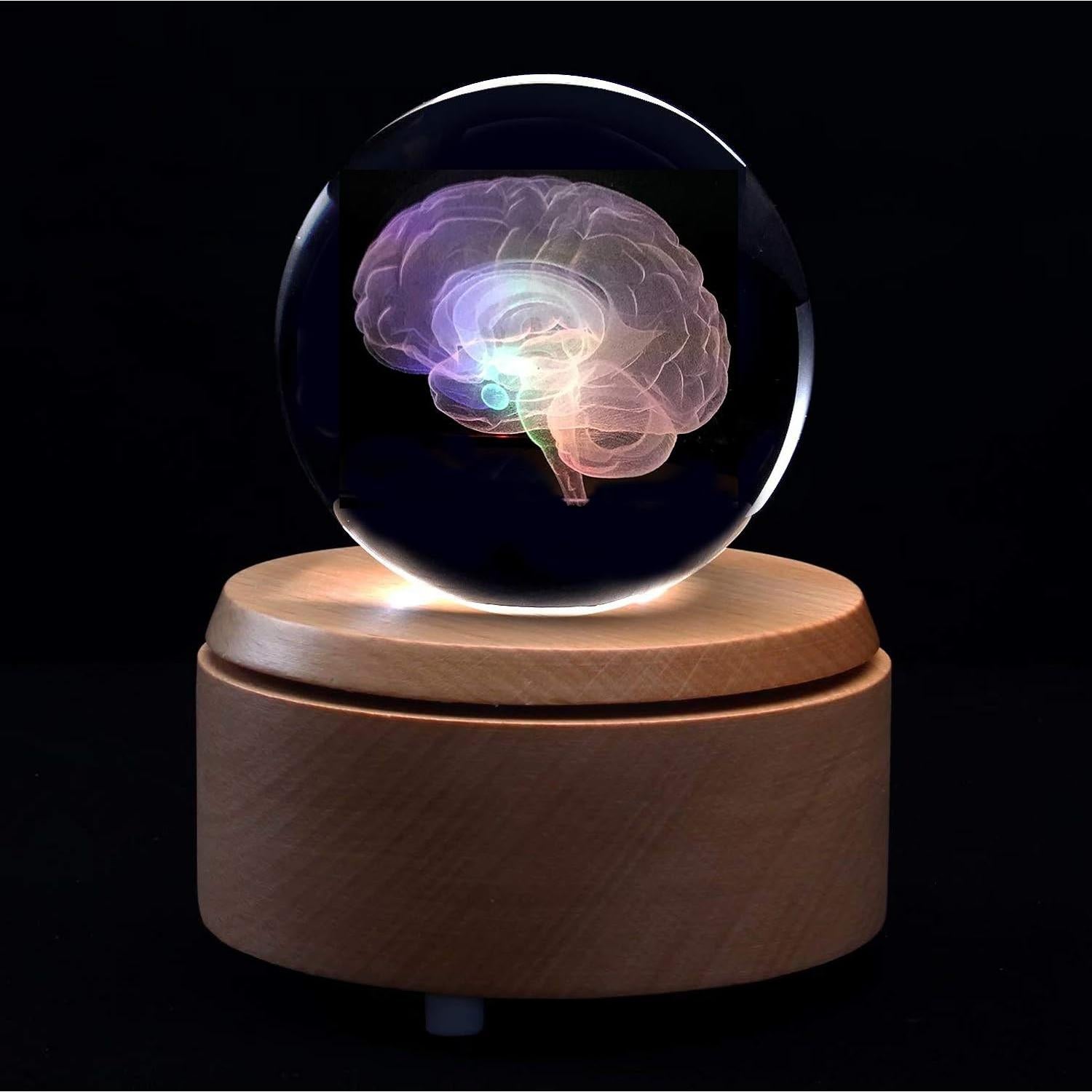 Bola de Cristal con Cerebro Humano 3D XINDAM 8.13 cm LED