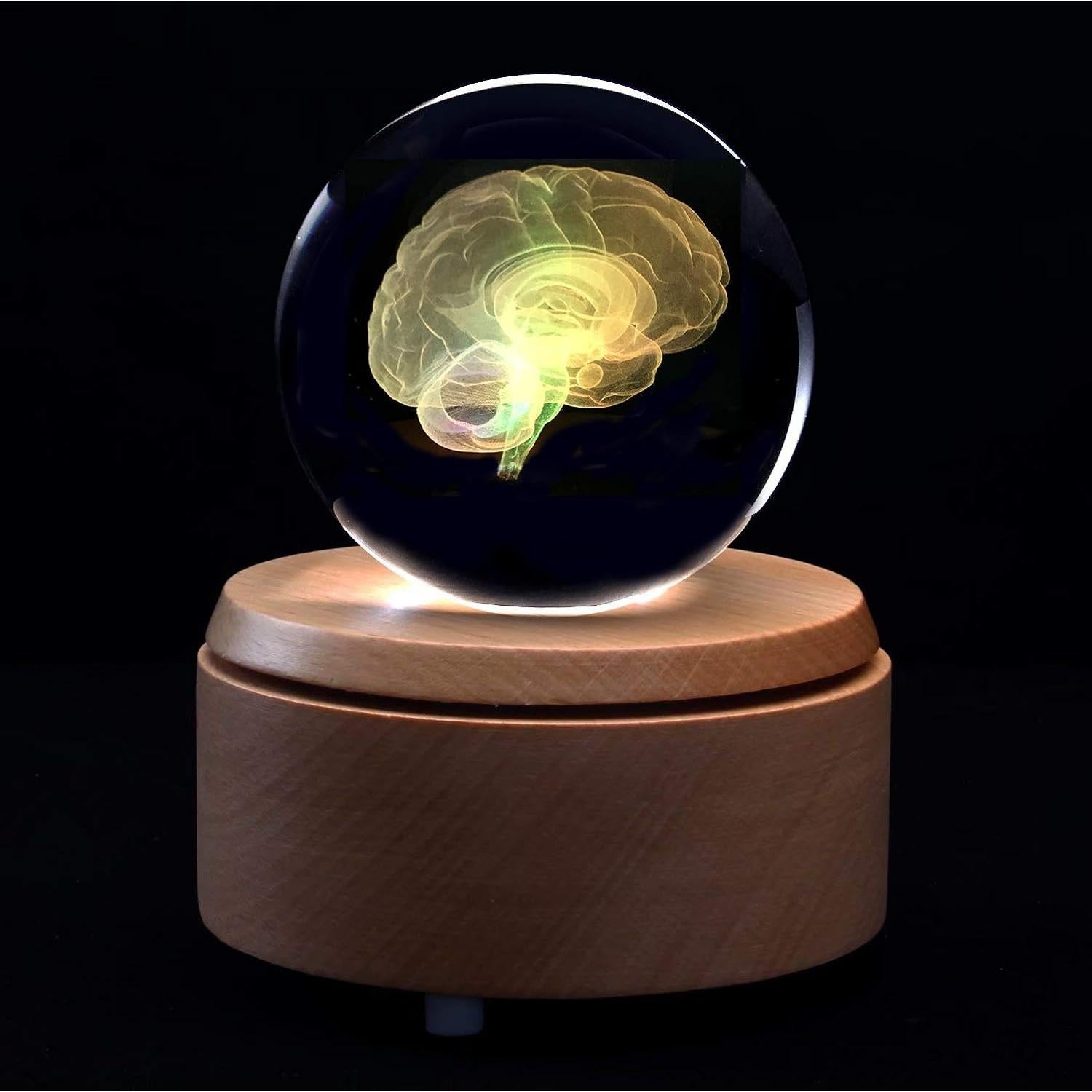 Bola de Cristal con Cerebro Humano 3D XINDAM 8.13 cm LED
