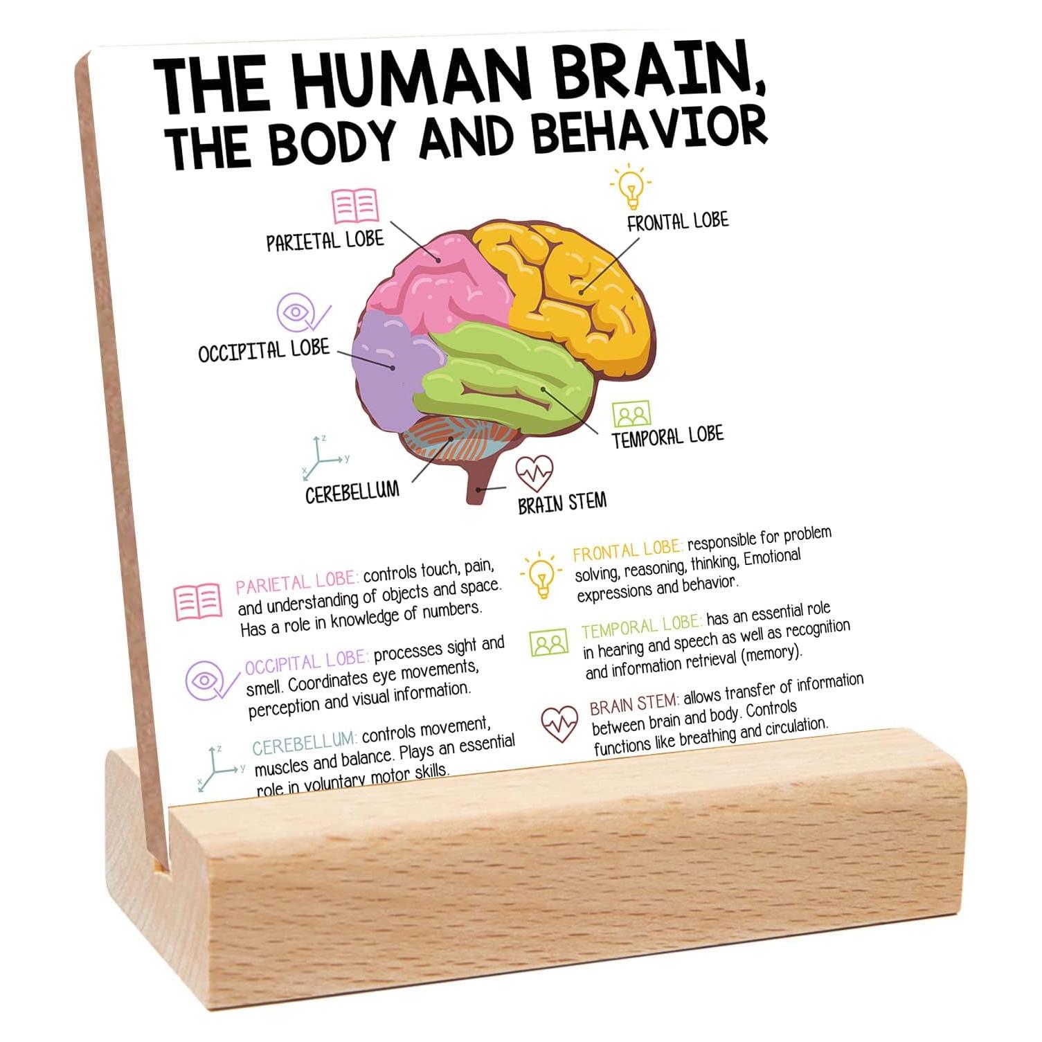 Signo de Psicoterapia Xendelow 10x10 cm Decoración Oficina