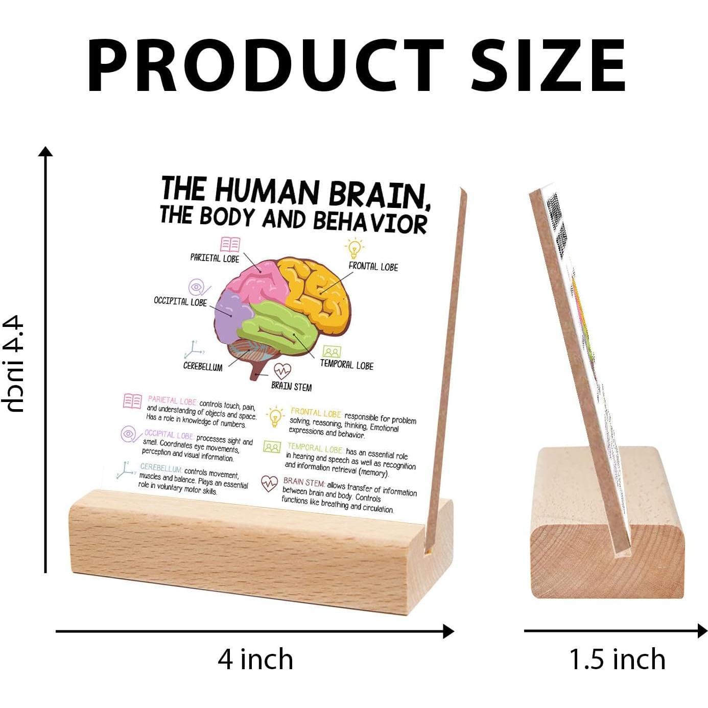 Signo de Psicoterapia Xendelow 10x10 cm Decoración Oficina