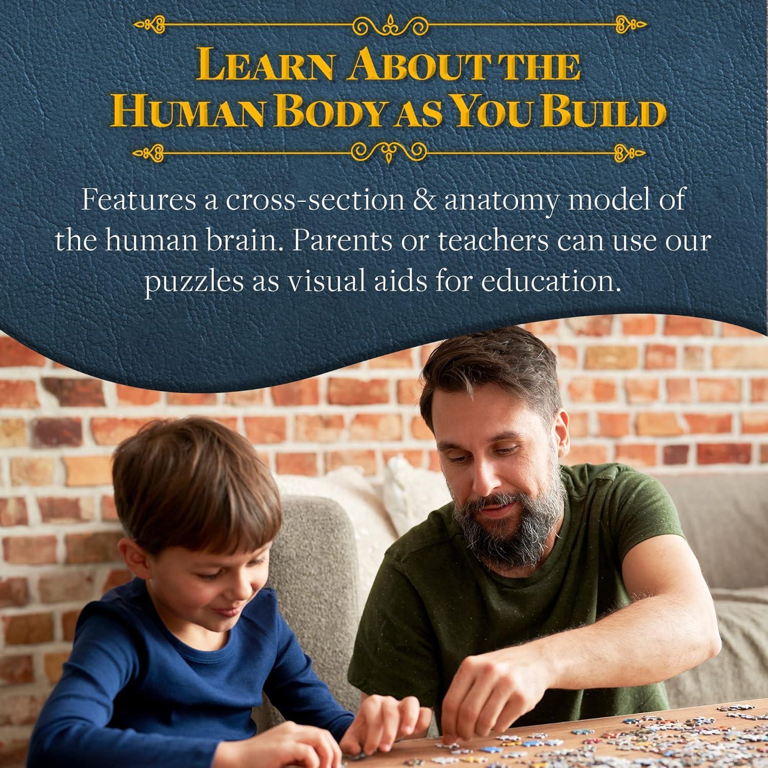 Rompecabezas de Anatomía del Cerebro Humano Genius Games - 27.18x21.59 cm