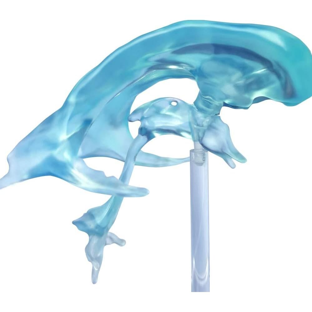 Modelo de Ventrículos Cerebrales Humanos EVOTECH 12x12cm