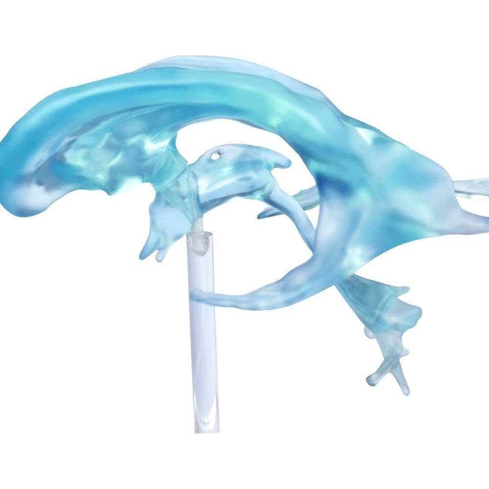 Modelo de Ventrículos Cerebrales Humanos EVOTECH 12x12cm